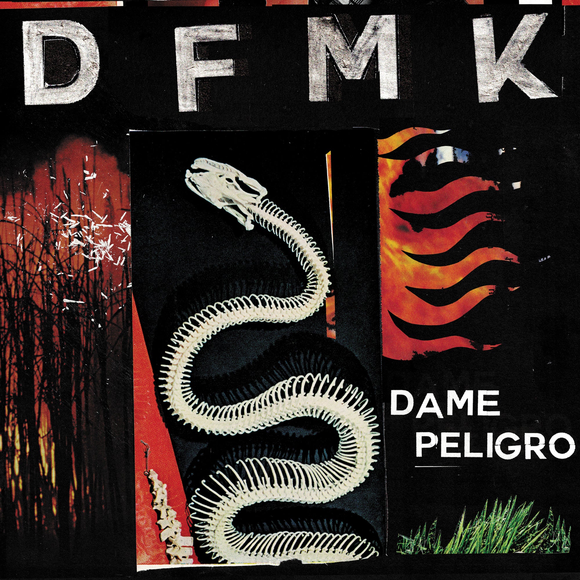 DFMK VIRUS509 COVER