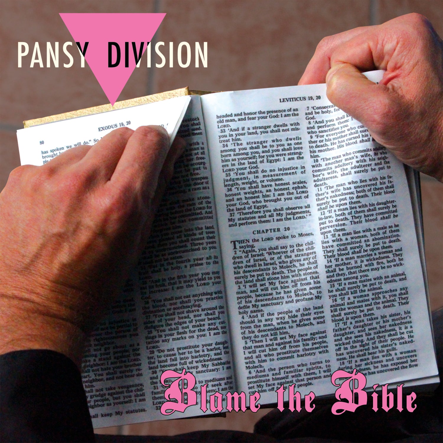 7" CLUB DECEMBER 2020: PANSY DIVISION "BLAME THE BIBLE"