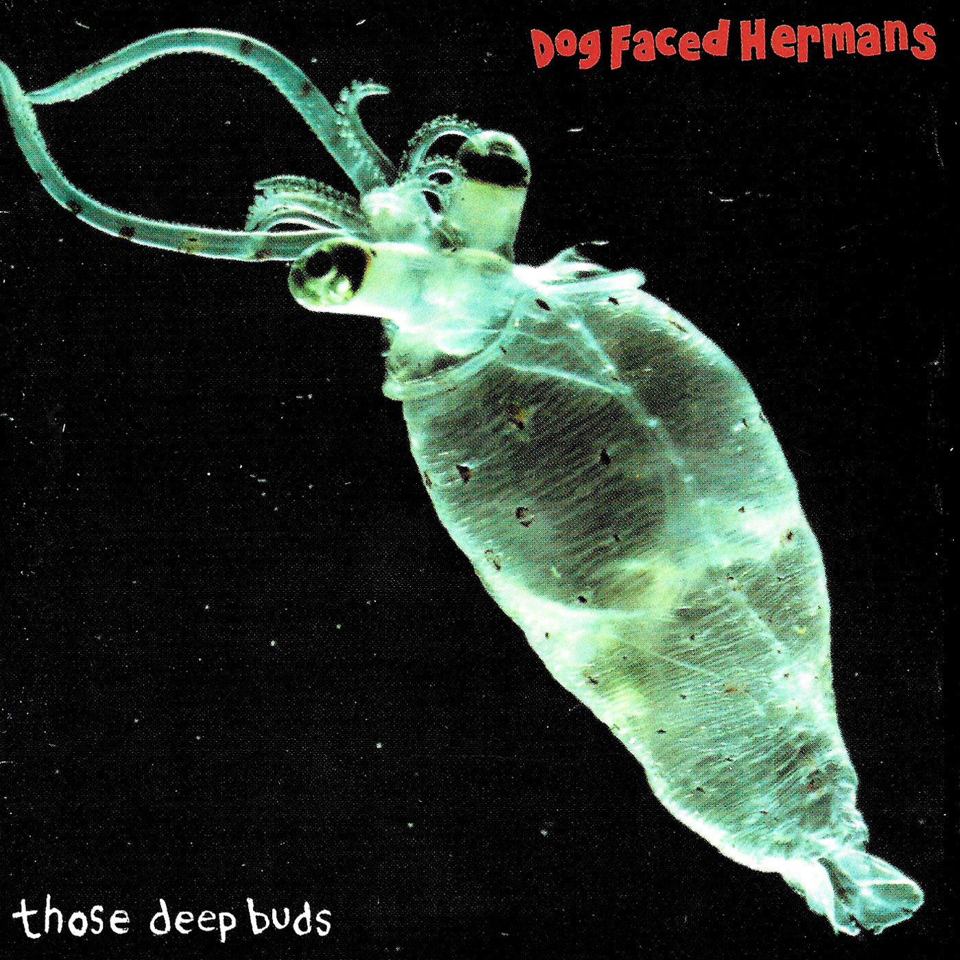 v151 - Dog Faced Hermans - "Those Deep Buds"
